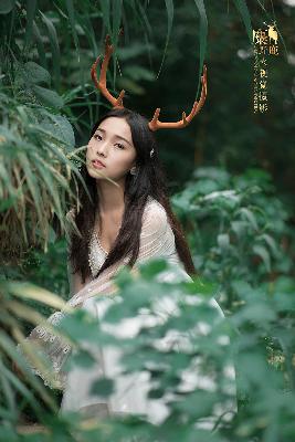 华丽的外出在线观看