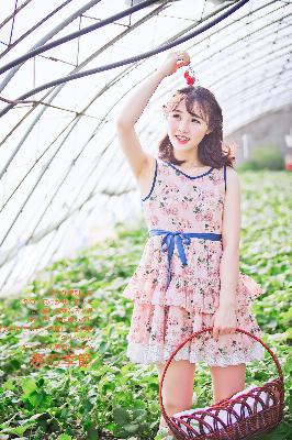 办公室3在线观看免费播放电视剧