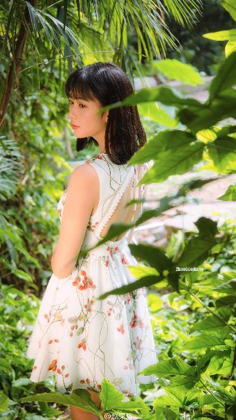 嫂子的职业在线观看