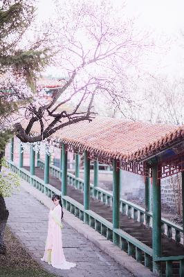 莫离电视剧免费观看全集高清